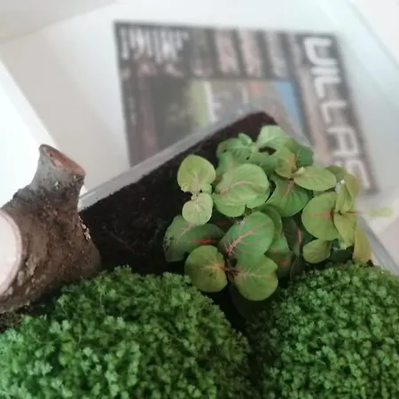 Chateau En Bord D'ourthe * Esneux