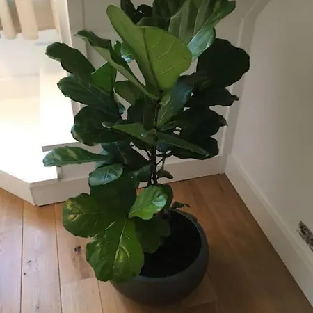 Chateau En Bord D'ourthe Διαμέρισμα